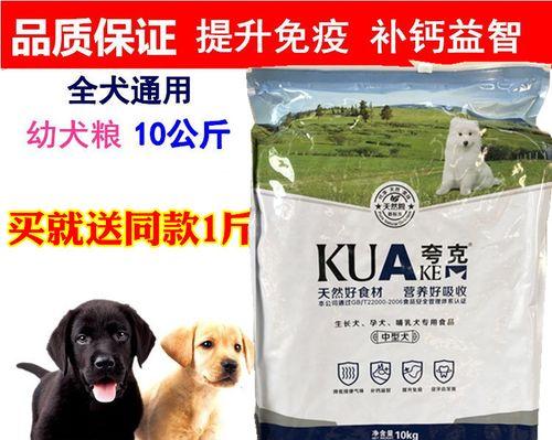 泰迪犬的最佳狗粮选择（为您的泰迪1年狗提供最健康的饮食）
