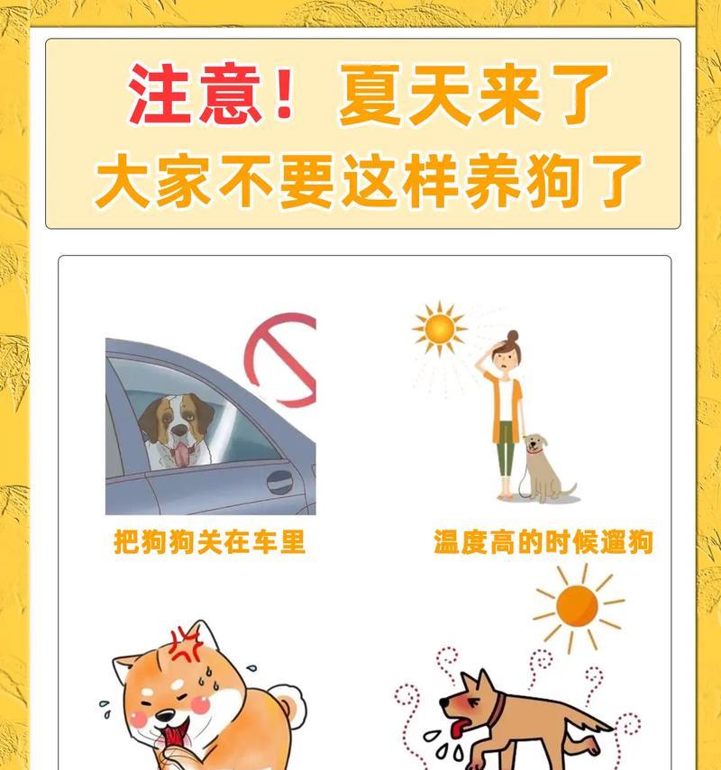 孕妇养狗的注意事项（守护孕期健康，合理养狗）