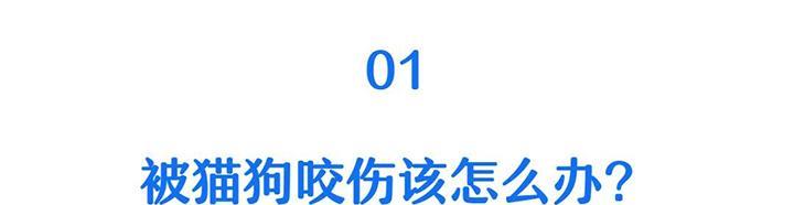 被猫咬了需要注意的事项（了解猫咬伤后的处理方法与预防措施）