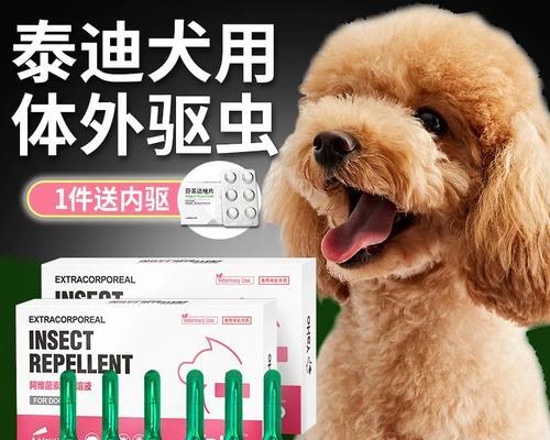 小狗驱虫必须知道的关键信息（选择适合小狗的驱虫方式，从健康保护开始）