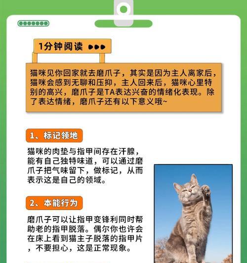 为什么猫回家后喜欢磨爪子？（了解猫磨爪行为的原因与好处）