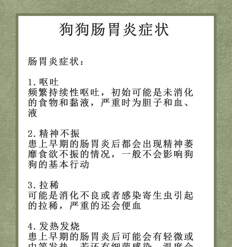 狗狗拉稀吐的症状及处理方法（狗狗拉稀吐，这是什么问题？如何处理？）