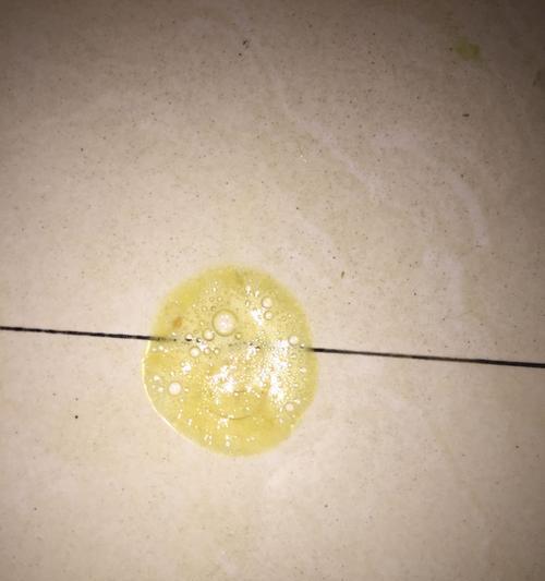 狗吃药过量的表现及应对方法（如何判断狗是否吃药过多，遇到此情况应如何应对）