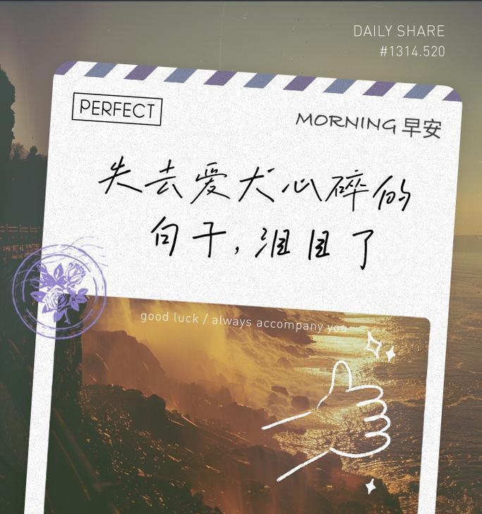 狗，天赐的忠诚伴侣（15个爱狗的语录让我们更懂这个世界的美好与温暖）