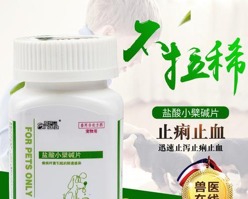 如何处理一个多月大的狗狗吐了的情况（药物治疗与预防呕吐的有效方法）