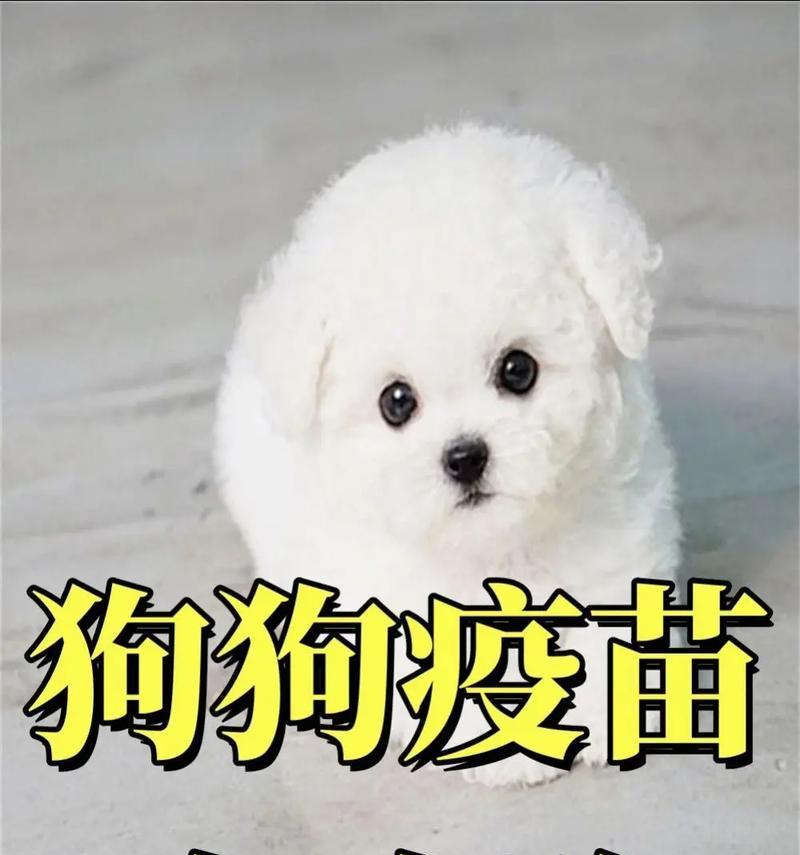 宠物疫苗（了解各种宠物疫苗品牌，保障你的宠物的健康）