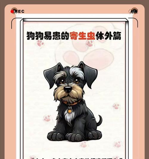 狗狗身上的常见寄生虫（了解狗狗常见寄生虫种类和预防方法）