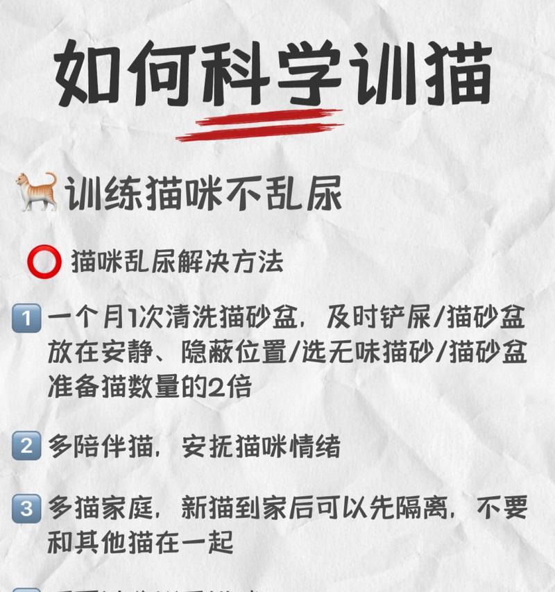 如何训练你的猫成为乖巧的宠物（掌握正确的训练方法，培养猫咪良好的行为习惯）