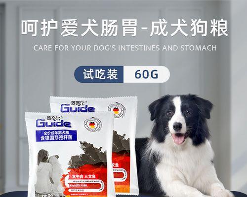 如何选择适合蝴蝶犬的优质狗粮？（探索蝴蝶犬最佳狗粮品牌及其关键特点）