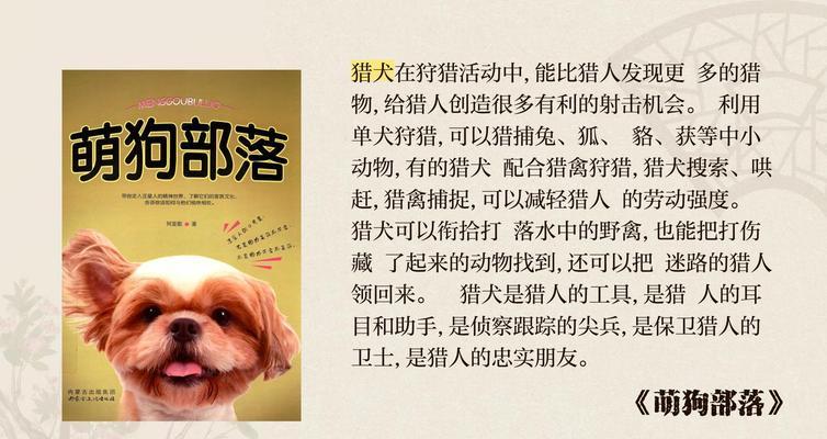 狗的外貌特征及其重要性（从头到尾了解狗的外貌特征）