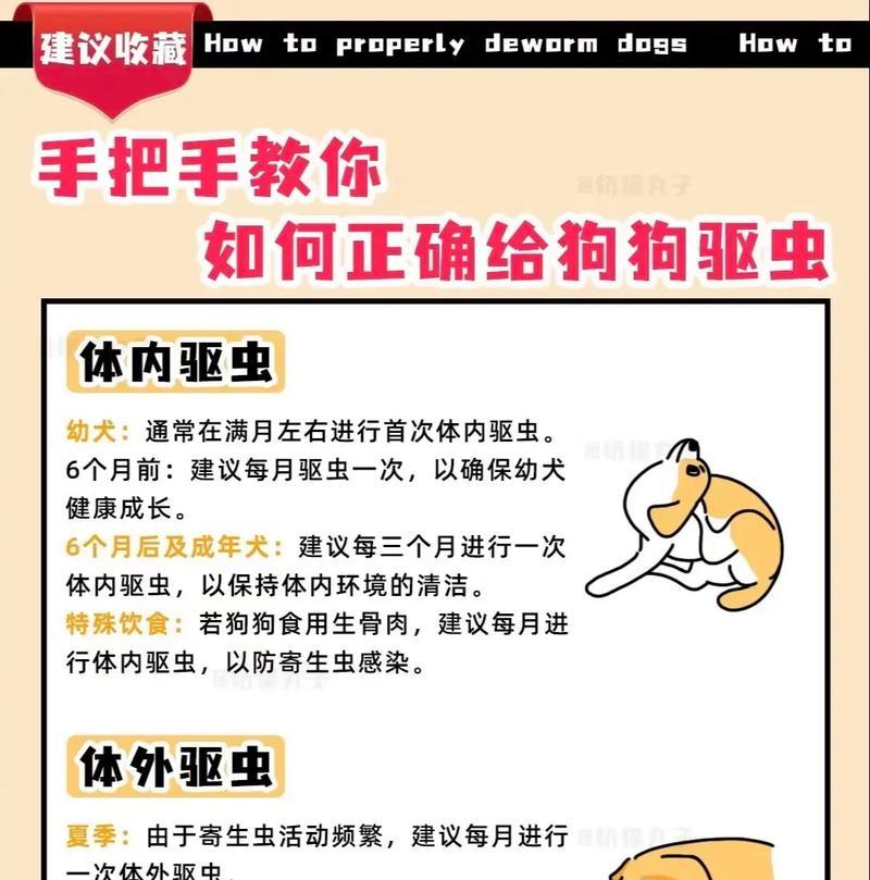 小狗打疫苗的最佳时间（了解小狗疫苗接种的时间表及注意事项）