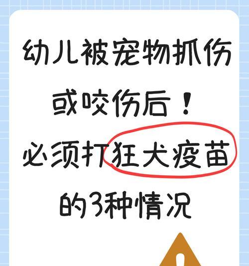 哪些宠物没有狂犬病？（了解这些宠物，让你放心拥有爱宠）