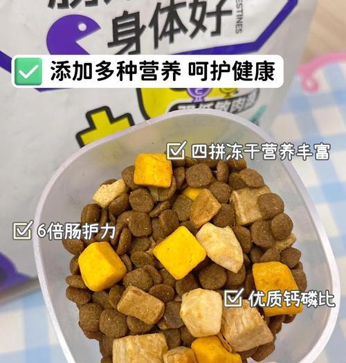 泰迪（探索泰迪的魅力与多样性）
