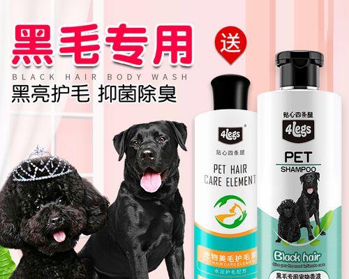 贵宾犬的洗澡频率及注意事项（一周洗澡一次，让贵宾犬毛色亮丽健康）