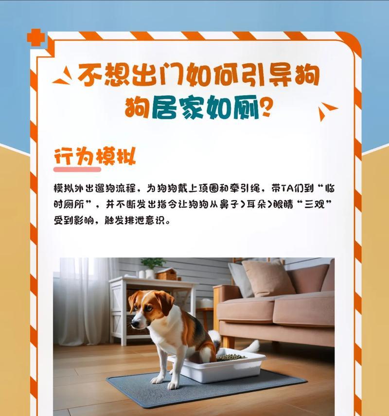 培养狗狗记住指令词，抓住正确时机让其如厕（训练狗狗指令词的关键技巧及如厕的正确时机）