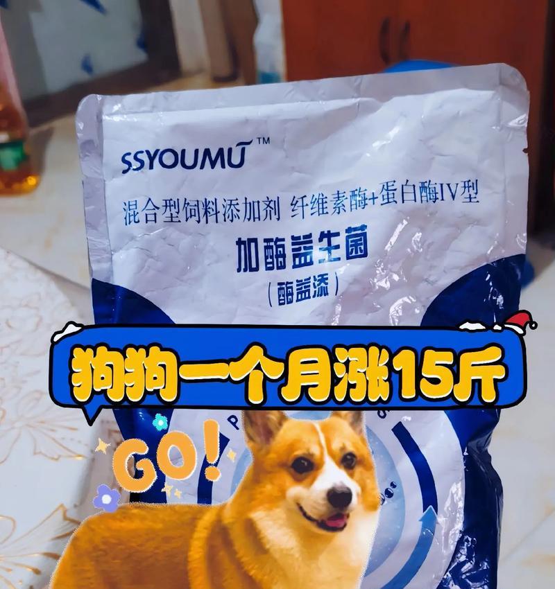 狗吃益生菌需要多久？（为宠物狗提供益生菌补充的最佳时机和频率）