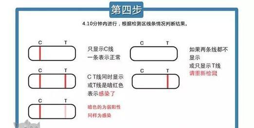 狗狗细小，奋斗不止！（探索狗狗细小持久康复之道）