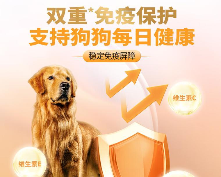 泰迪狗狗吃完狗粮多久喝水？（揭秘泰迪狗狗饮食习惯中的小秘密）