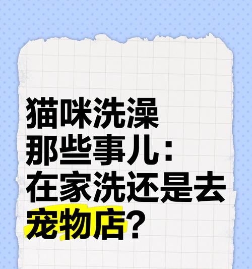 宠物店的猫咪洗澡费用及步骤（了解宠物店猫咪洗澡的价格和流程，让您的爱猫保持清洁与舒适）