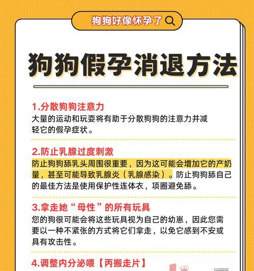 狗狗生理期后多久可配种？（了解配种时间的关键因素及注意事项）