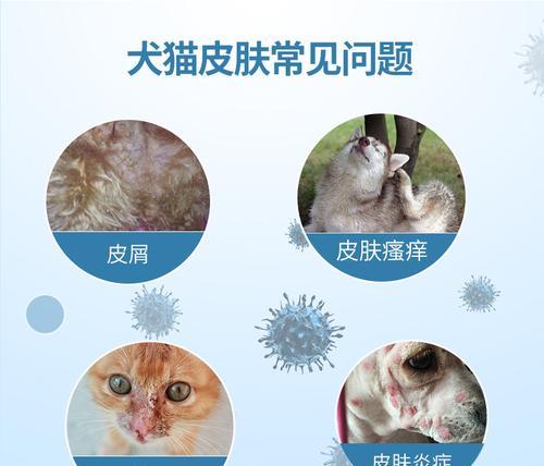 以狗狗杀真菌洗液为宠物护理的利器（解决犬只真菌感染问题的新选择）