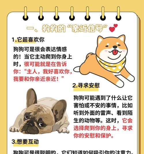 狗熟悉主人需要多长时间？（揭开狗熟悉主人的神秘面纱）