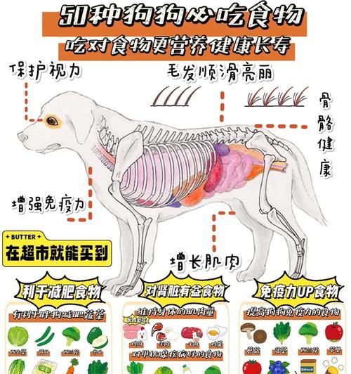 狗狗的饮食之道（为你的宠物选择最佳食物，）