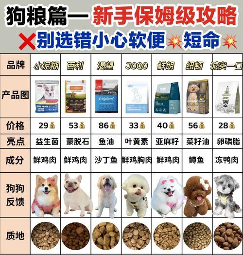 适合初养犬友的便宜又好养的犬种推荐大全（为您推荐最合适的犬种，让您享受愉快的养狗经历）