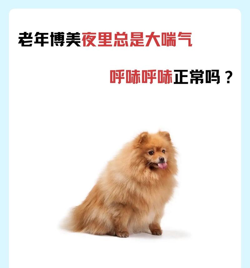 狗狗的水需求量及缺水表现（了解狗狗的水需求量，预防缺水问题）