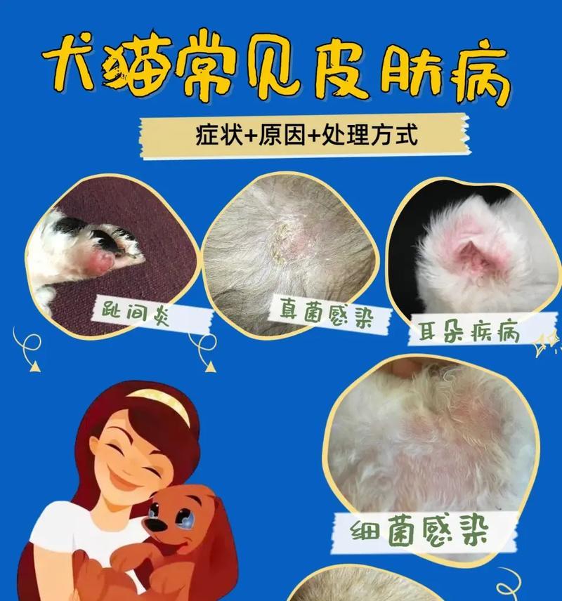 揭秘狗的皮肤病（了解狗的皮肤病，让我们的毛孩过上健康的生活）