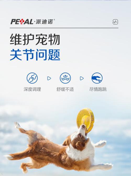 金毛幼犬何时开始补钙？（了解金毛幼犬补钙的重要性及最佳时机）
