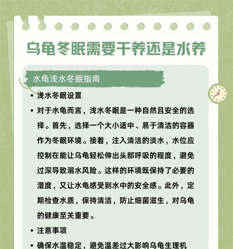 乌龟养护之道（揭秘乌龟寿命之谜，）