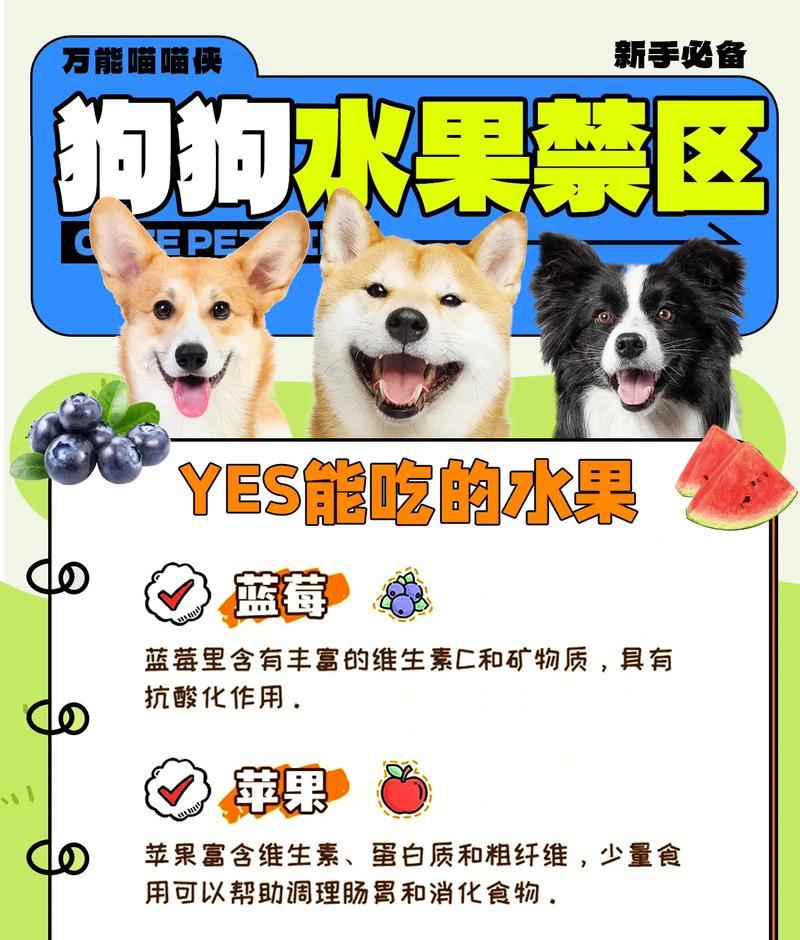阿比西尼亚猫能吃哪些水果？（了解阿比西尼亚猫饮食偏好，为它们提供合适的水果。）
