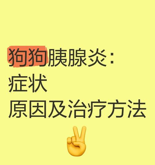 6个月狗胰腺炎的常见症状及其处理方法（了解狗胰腺炎，守护爱宠健康）