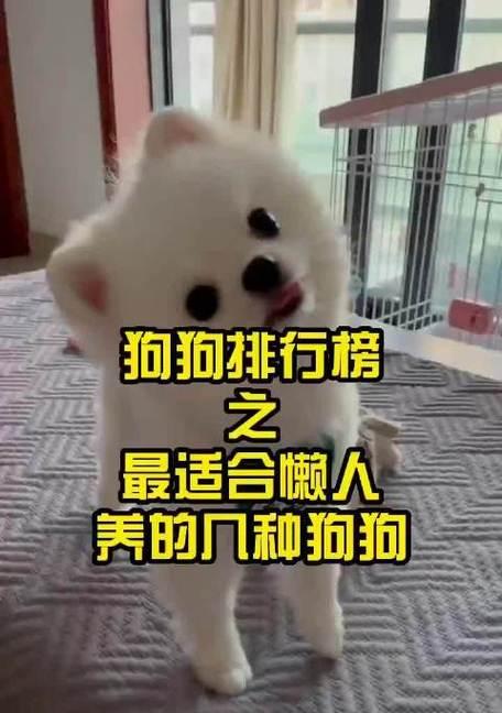 养巴哥的健康饮食建议（巴哥常吃这些东西，对身体好，让你的狗狗更健康快乐！）