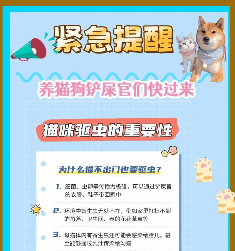 幼犬驱虫的重要性及喂食时间（如何正确驱虫和喂养幼犬）