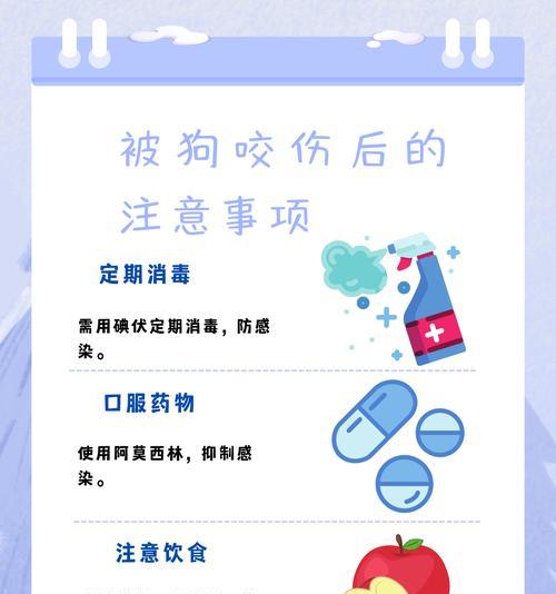 狗吃完驱虫药后多久能打疫苗？（宠物狗的驱虫和疫苗接种时间要注意的关键信息。）