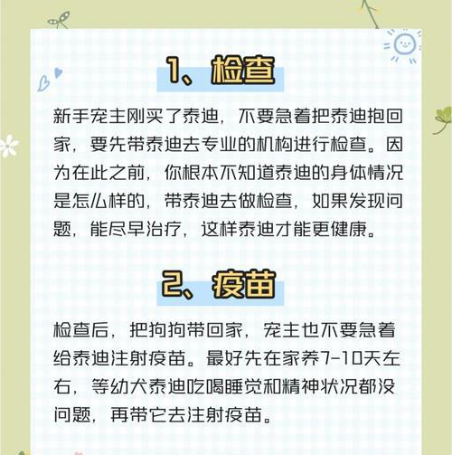 泰迪犬（探讨泰迪犬易养的原因及魅力所在）