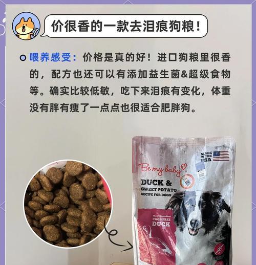 博美幼犬的饮食需求及狗粮量（幼犬饮食搭配要点及合理营养供给）