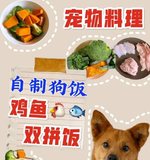 小狗饭后适合多久运动？（为您解答小狗饭后合适运动的时间）