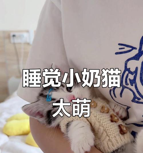探秘猫咪的睡眠时间（揭开五岁猫咪的神秘睡眠时间，探索背后的科学原因和影响）