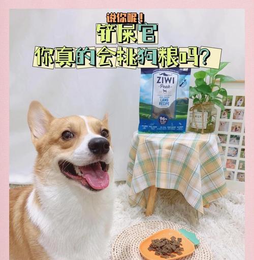给幼犬吃的狗粮是否需要泡发？（正确方法和注意事项）