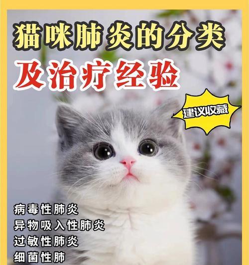 猫咪肺炎（探究猫咪肺炎的痊愈时间与关键因素）