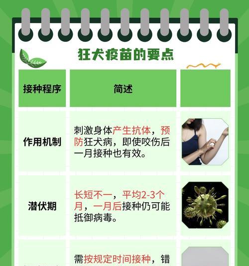 狗狗四联苗接种间隔及注意事项（了解狗狗四联苗接种频率，让你的宠物健康无忧）