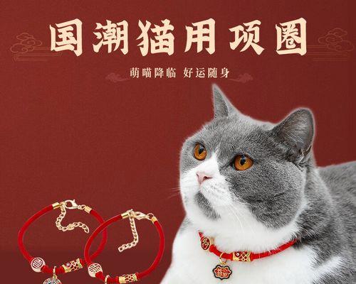 狗狗长命百岁的9个秘诀（为你的狗狗打造健康长寿的生活方式）