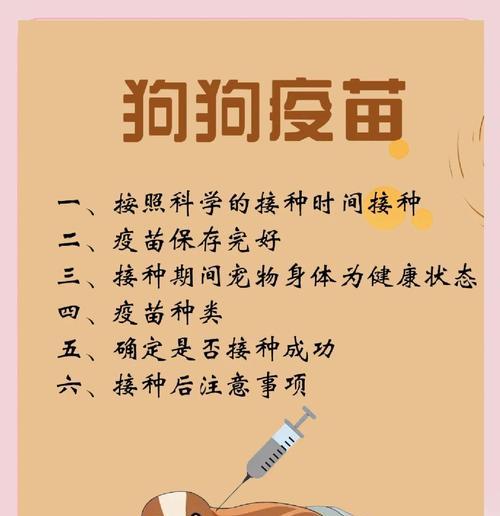 狗狗的疫苗接种时机和注意事项（了解狗狗疫苗的最佳时间和必要性，让你的宠物健康成长）