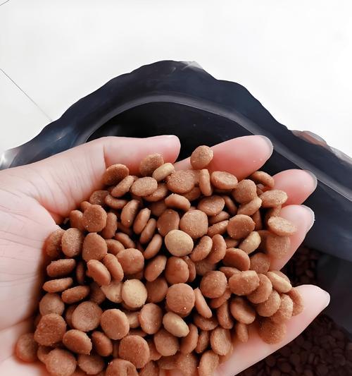 哈士奇的忌口食物（保护你家哈士奇的健康）