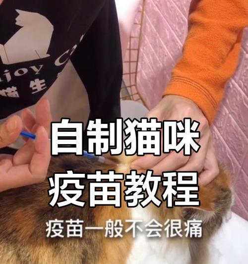 猫咪疫苗接种（了解猫咪疫苗接种的重要性和频率）