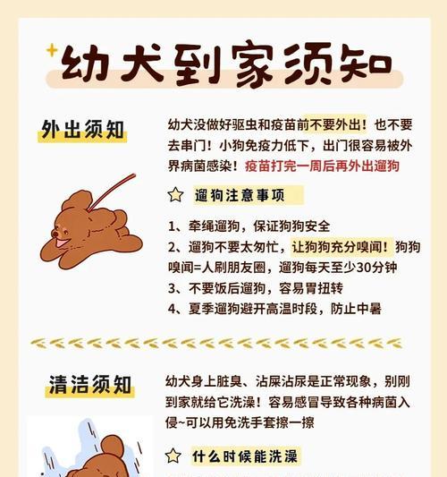 探究狗为什么会被打出屎尿的原因（狗为什么会在室内随地大小便？原因及解决方法一网打尽）