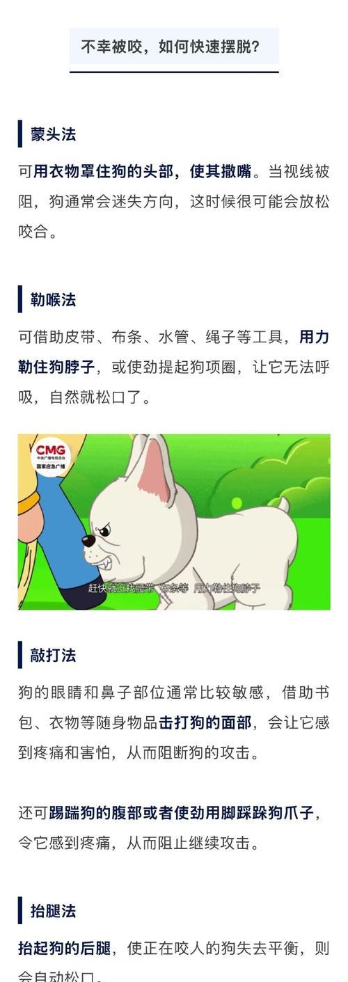 如何处理以萨摩耶会咬人的问题（安全处理方法及预防措施）